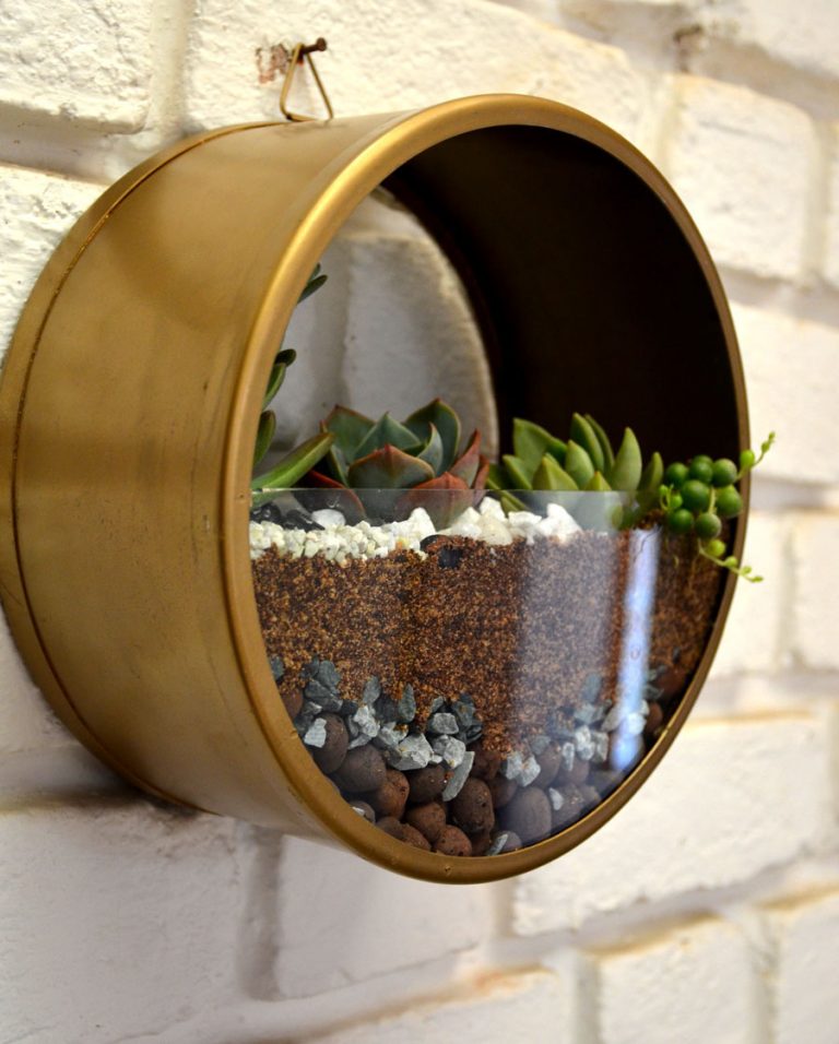Round wall terrarium from Mudfingers