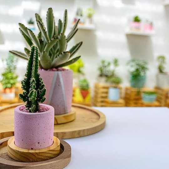 modern eco friendly house product|Concrete Quartz Planters Blush Pink - Handpressed Collection is made using delicate hand-pressed concrete, that is ideal for planting cacti and slightly larger houseplants