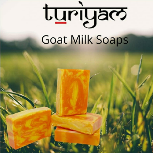 Get smooth soft skin with goat milk soap, coffee soap, and more |Turiyam